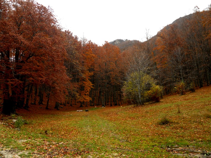Viaggio Sul Monte Terminillo